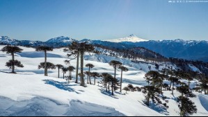 Invierno en el Sur de Chile: destinos imperdibles para disfrutar la nieve y el esquí en la Ruta Lagos y Volcanes