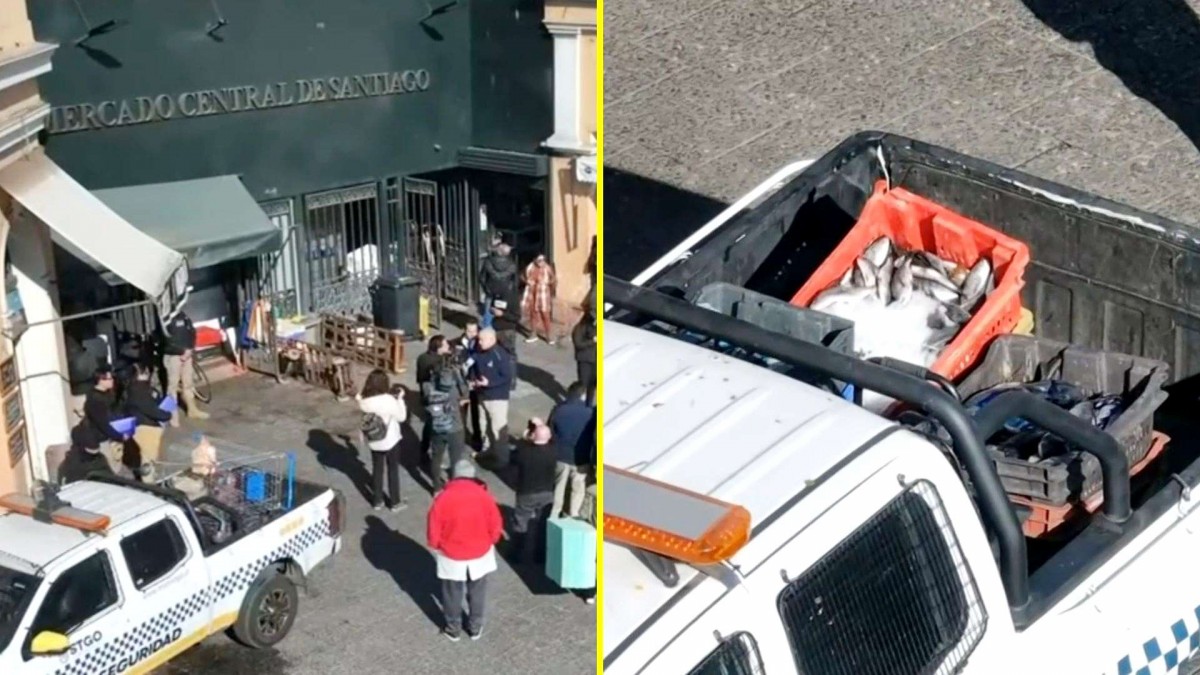 Incautan mil kilos de pescado en mal estado en bodega particular en el Mercado Central