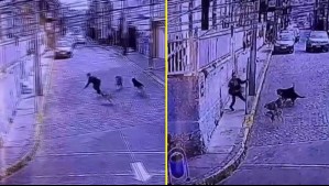 Turista extranjero fue atacado por jauría de perros en Valparaíso: Vecinos piden medidas ante nuevos episodios