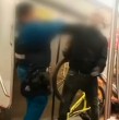 Revisa antecedentes de un altercado que se produjo en la Línea 4 del Metro de Santiago entre un hombre que ingresó con una bicicleta y un perro, y los vigilantes del transporte subterráneo.
