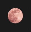 La Luna de Fresa alcanzará su punto máximo este lunes 29 de junio. Conoce a qué hora podrá verse en Chile, por qué recibe ese nombre y hasta cuándo será visible en el cielo.