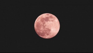 Luna de Fresa 2026: ¿A qué hora se podrá ver en Chile y por qué recibe ese nombre?