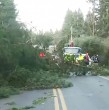Rachas de viento superiores a los 100 km/h derribaron árboles, cortaron rutas y dejaron sin electricidad al 80% de Pucón. El encargado de Emergencias pidió no salir y advirtió que el peak se espera durante la tarde.