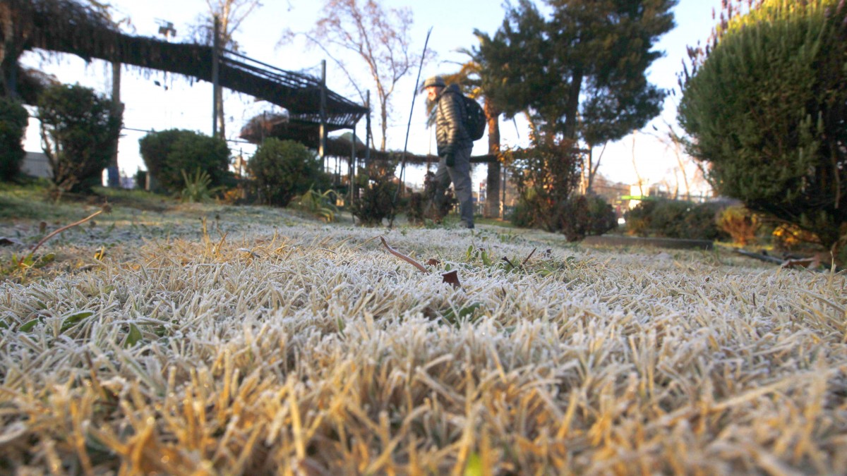 Temperaturas caerán hasta los -10°C: Emiten alerta por frío extremo en una zona del sur
