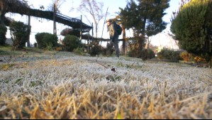 Temperaturas caerán hasta los -10°C: Emiten alerta por frío extremo en una zona del sur