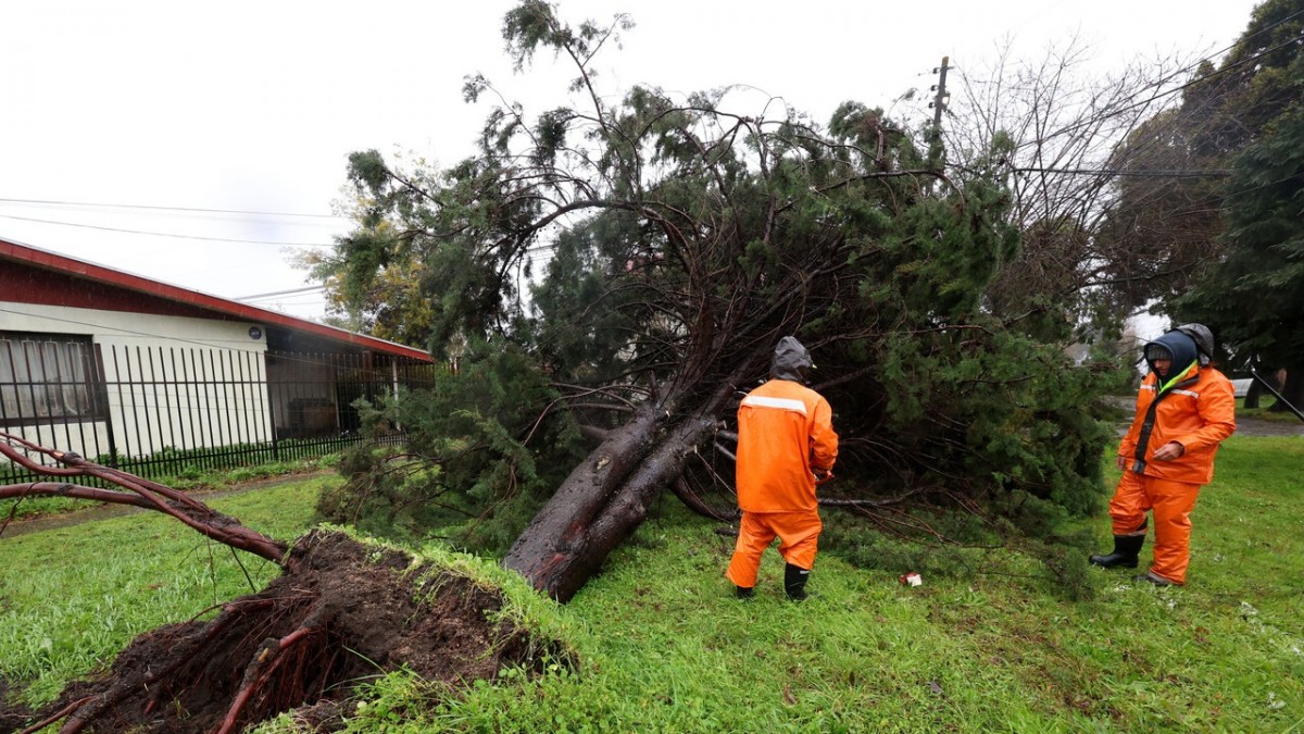 Decretan Alerta Roja en Pucón por fuertes vientos en La Araucanía: han alcanzado los 100 km/h
