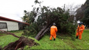 Decretan Alerta Roja en Pucón por fuertes vientos en La Araucanía: han alcanzado los 100 km/h