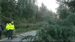 Vientos de hasta 150 km/h azotaron Pucón: 20 mil familias siguen sin electricidad y rutas permanecen cortadas