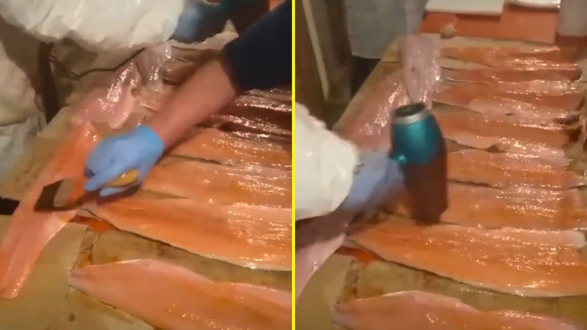 'Es extremadamente grave': Video muestra a personas 'maquillando' salmón en mal estado en Puerto Montt
