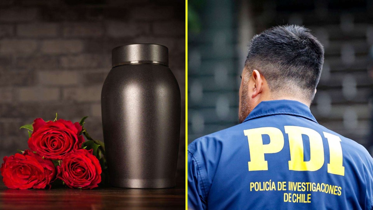 Recuperan ocho cuerpos de perros que fueron robados desde crematorio de mascotas en Lampa