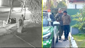 Detienen a hombre de 52 años que entró a robar a un colegio y dos casas en La Reina