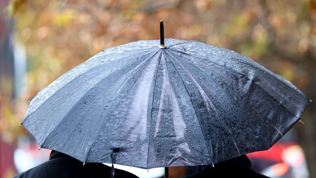 Temporal con río atmosférico afecta al sur de Chile: Se esperan hasta 200 milímetros de lluvia en algunos sectores