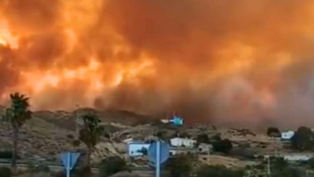 Incendio forestal en España deja al menos 12 muertos en medio de intensa ola de calor