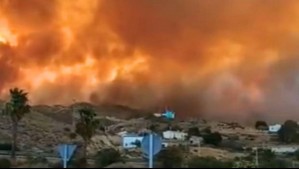 Incendio forestal en España deja al menos 12 muertos en medio de intensa ola de calor