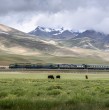 Recorrer algunos de los paisajes más impresionantes del planeta es posible a bordo de uno de los ferrocarriles más extraordinarios del mundo. 
Conocido como el tren al cielo es catalogado el más extremo del mundo.