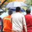 De acuerdo al reporte de la Dirección Meteorológica de Chile, se espera que distintas zonas se vean afectadas por precipitaciones este fin de semana. Conoce dónde lloverá.