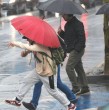 Este lunes, la Dirección Meteorológica de Chile (DMC) emitió cinco alertas en 12 regiones del país por diversos fenómenos meteorológicos que se presentarán durante esta semana.