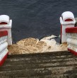 Las marejadas anormales por el sistema frontal provocaron la pérdida de la playa en Pichilemu, obligando a cerrar los accesos peatonales a la costanera. Revisa el video.