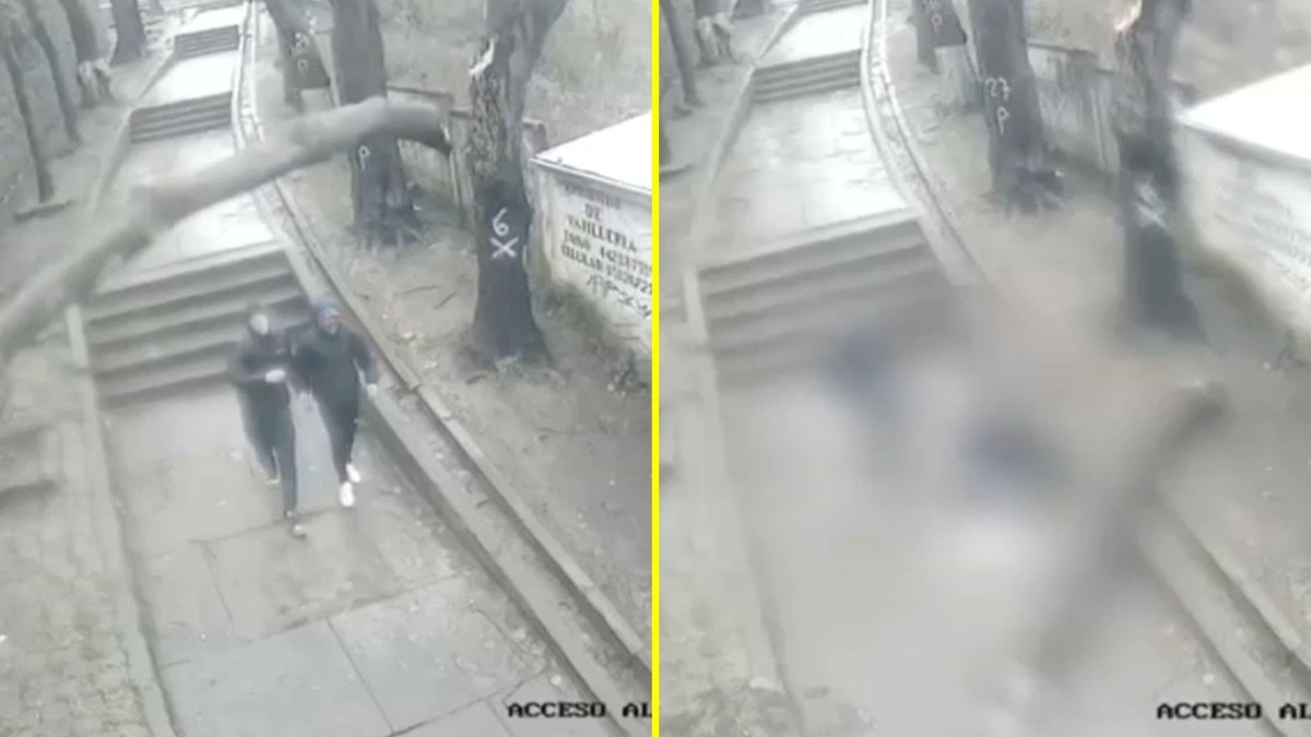 Video muestra momento en que tronco cae sobre un joven en Lota: Fue trasladado de urgencia a un hospital