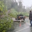 Un conductor utilizó su camioneta para retirar un enorme árbol que bloqueaba una ruta en San Clemente, permitiendo que decenas de vehículos continuaran su viaje. Revisa el video.