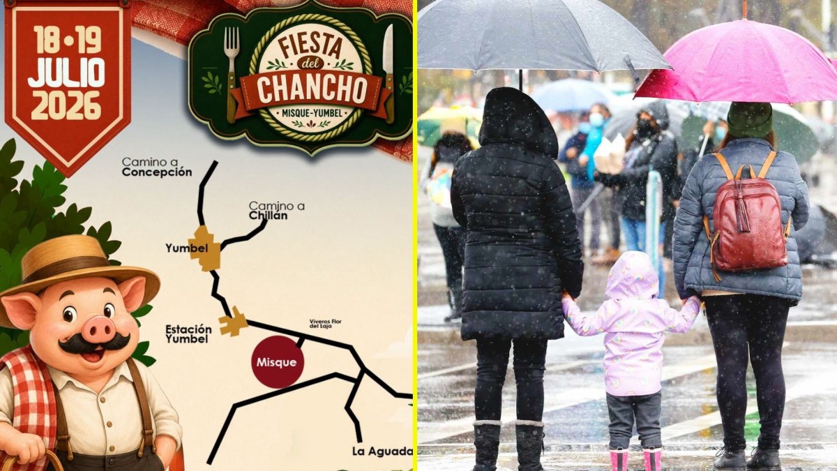 Ni el chancho pudo con la lluvia: Suspenden tradicional fiesta en la zona sur por sistema frontal