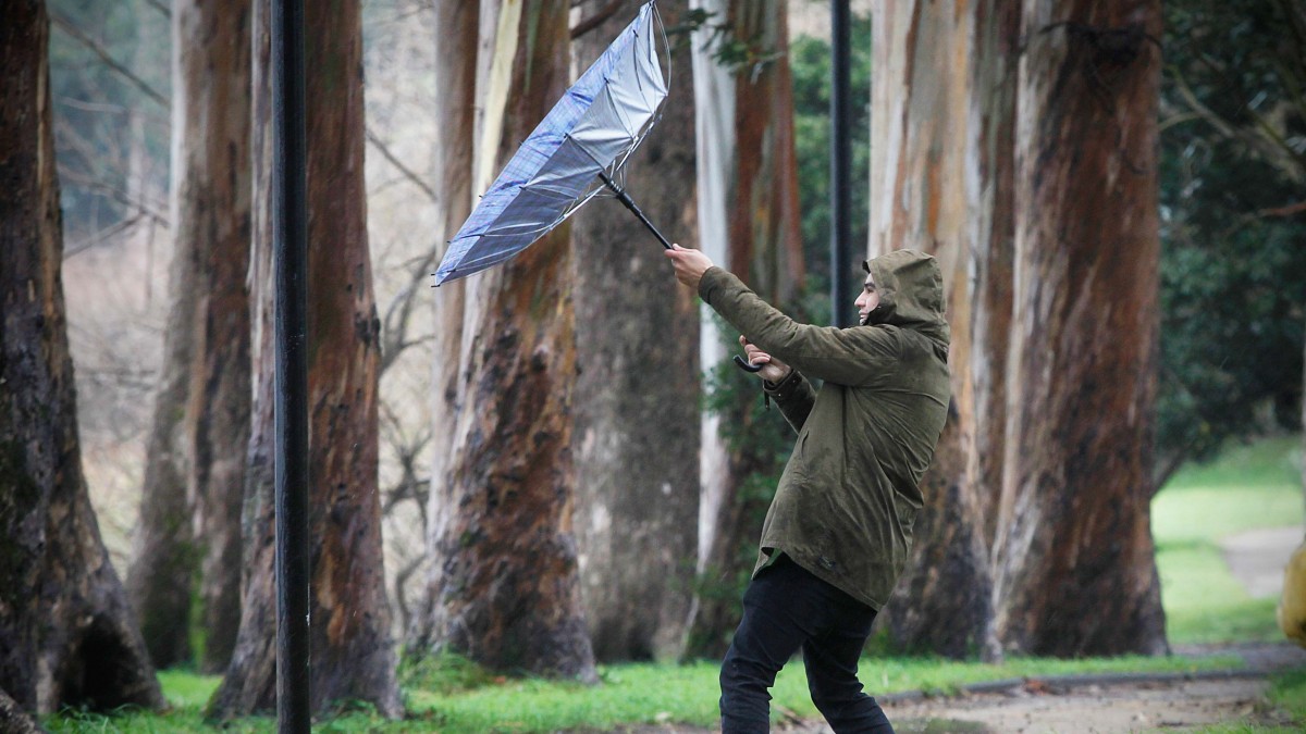 Rachas de hasta 90 km/h: Actualizan alerta por 'viento moderado a fuerte' en siete regiones de la zona central