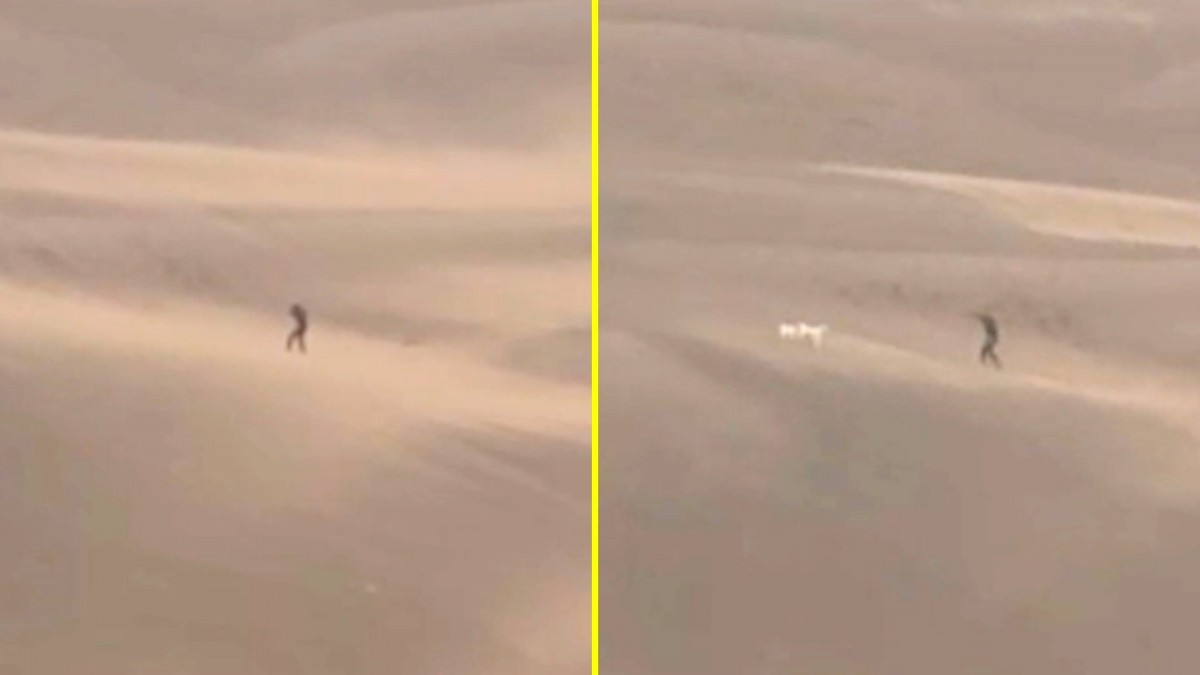 Ni el fuerte viento ni la arena lo frenaron: Captan a hombre haciendo shadow boxing junto a sus mascotas en las dunas de Concón