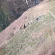 Al menos 14 personas fallecieron y cinco resultaron heridas este jueves al caer una furgoneta a un abismo en la región de Cajamarca, en el norte de Perú. Detalles en la siguiente nota.