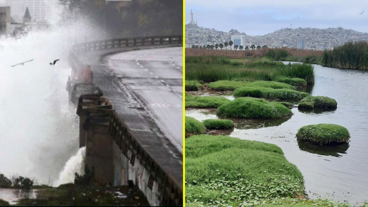 Sistema frontal podría transformar playas y humedales: Las consecuencias del temporal que preocupan a los expertos