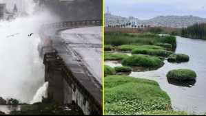 Sistema frontal podría transformar playas y humedales: Las consecuencias del temporal que preocupan a los expertos