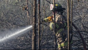 Hay orden de evacuación: Senapred declara Alerta Roja por incendio forestal en 'cercanía a sectores poblados' en Camiña