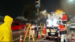Sacos con cabezas de caballo fueron encontrados en colector de aguas servidas durante trabajos de limpieza