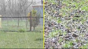 Videos muestran la caída de intensos granizos en localidades de la zona centro sur del país
