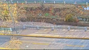 Sistema frontal en Santiago: Así está el nivel de las aguas del Canal San Carlos a esta hora