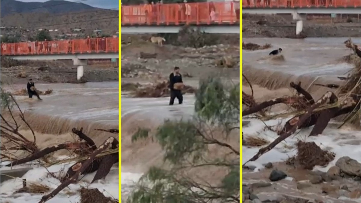 Video muestra cómo un hombre fue arrastrado por la corriente tras intentar cruzar un estero en Coquimbo: Fue detenido