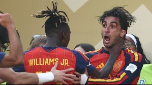 'Sismicidad inducida por actividad humana: Investigadores españoles captaron las celebraciones del gol en la final del Mundial