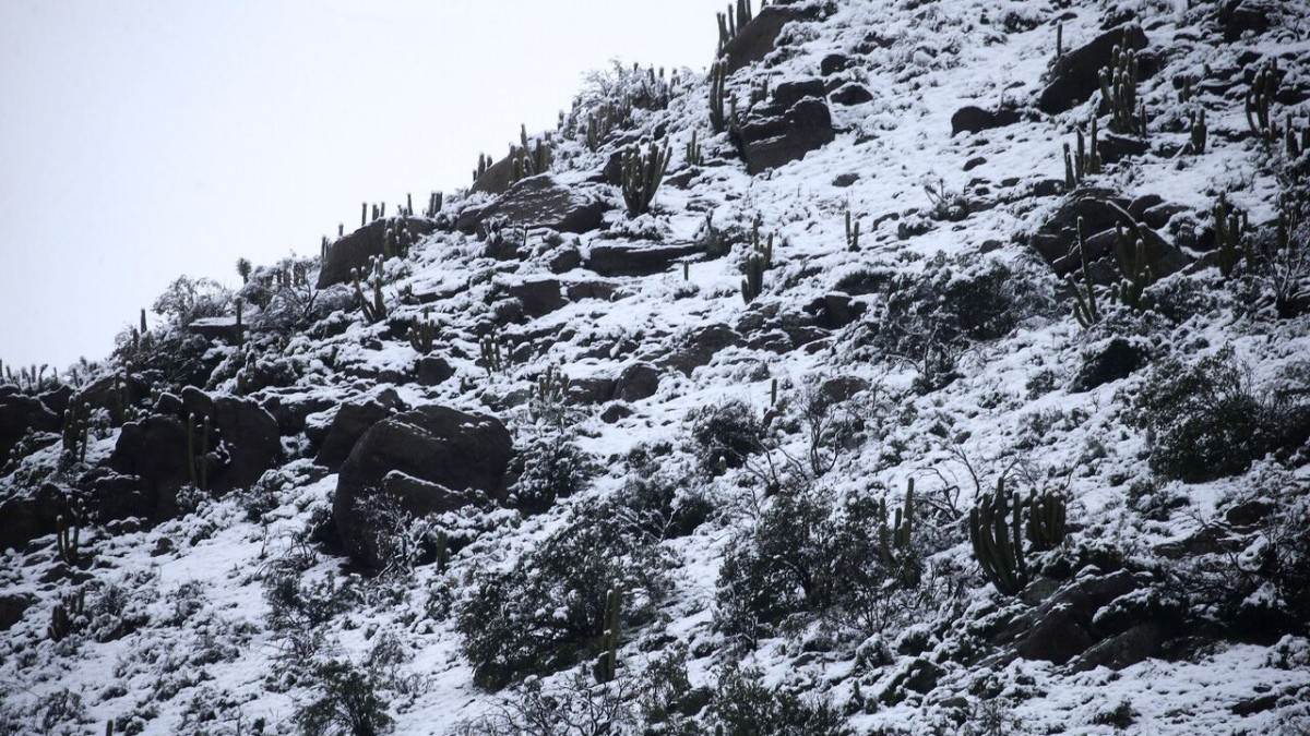 Emiten alerta por 'nevadas moderadas a fuertes' para un sector de la región de Atacama