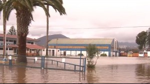 Colegio queda inundado por sistema frontal en La Serena: El agua sobrepasó el metro de altura