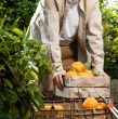 Una importante empresa del rubro frutícola abrió 34 ofertas laborales en las regiones del Maule y O\\\'Higgins. Revisa algunos de los cargos disponibles y cómo postular.