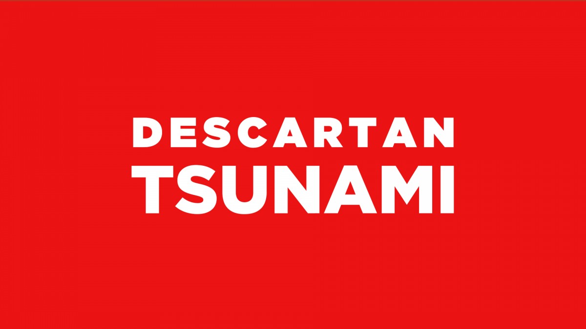 SHOA descarta tsunami en las costas de Chile tras temblor en la zona norte
