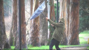 Hasta con rachas de 100 km/h: Meteorología emite alerta por 'viento moderado a fuerte' en seis regiones del país
