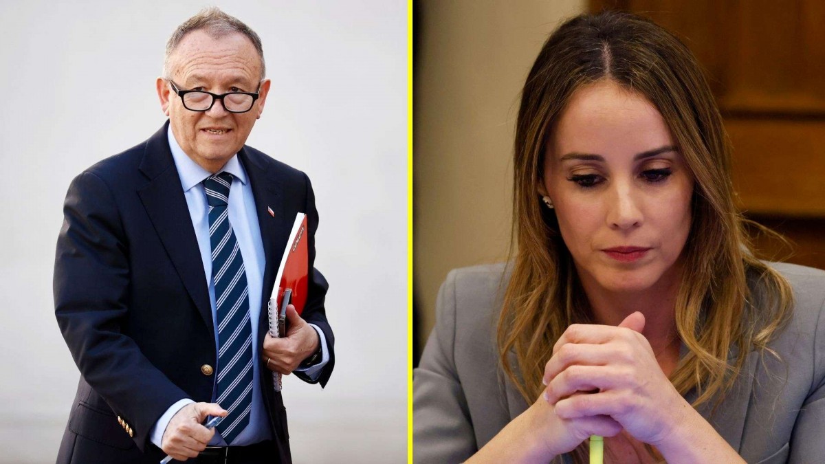 Ruminot aclara que entrevista de Mara Sedini no fue 'una buena idea' y que no tuvo 'ninguna dificultad' con ella en el Gobierno