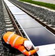 Suiza comenzó a aprovechar su infraestructura ferroviaria para generar electricidad limpia mediante un innovador sistema que instala paneles solares directamente entre los rieles del tren, un espacio que hasta ahora permanecía sin uso.