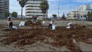 Toneladas de basura llegaron al mar tras el temporal: Advierten riesgo ambiental en la costa de Coquimbo