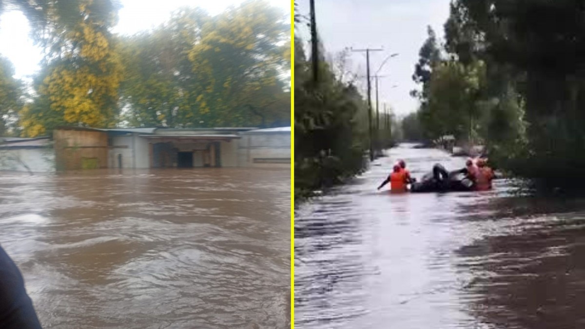 Rescatan a hombre que pasó la noche en el entretecho de su casa junto a su mascota por crecida del río Ñuble