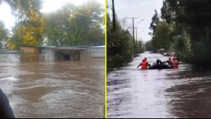 Rescatan a hombre que pasó la noche en el entretecho de su casa junto a su mascota por crecida del río Ñuble