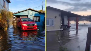 Senapred llama a evitar sectores de La Unión por inundación: Registros muestran estragos por aumento de caudal de río Llollelhue
