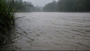 Senapred llama a evacuar sector de la región del Maule por desborde de río