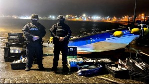 Robo de 'oro marino': Sustraen más de tres toneladas de jurel desde embarcación