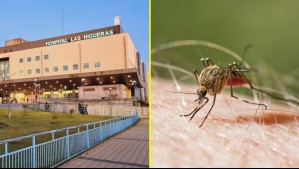 Confirman que vietnamita con fiebre hemorrágica en Talcahuano falleció a causa de malaria